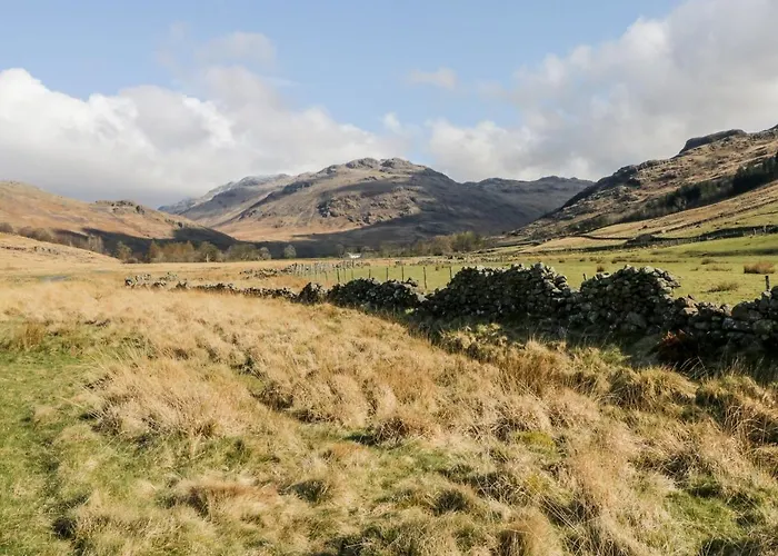 Newfield 2 公寓 布劳顿弗内斯