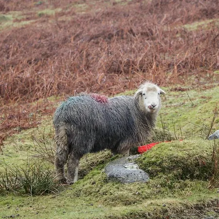 Newfield 2 Διαμέρισμα *